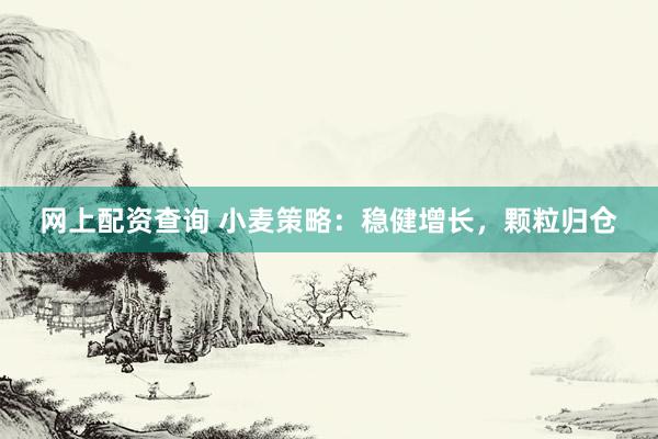 网上配资查询 小麦策略：稳健增长，颗粒归仓