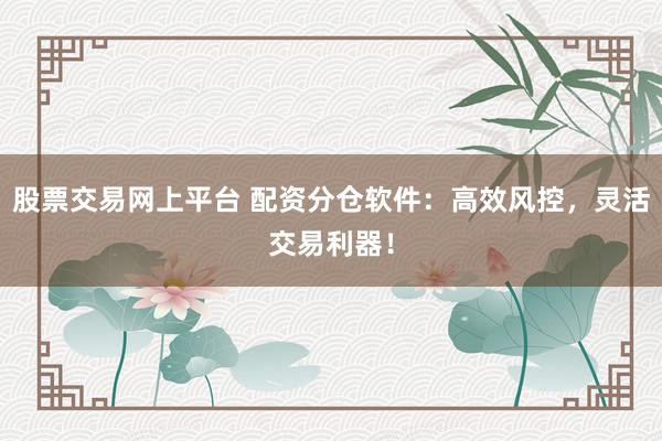 股票交易网上平台 配资分仓软件:高效风控,灵活交易利器!