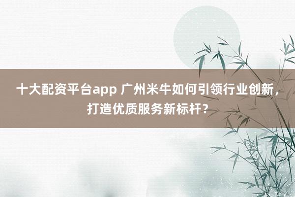 十大配资平台app 广州米牛如何引领行业创新，打造优质服务新标杆？
