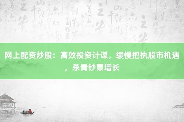 网上配资炒股：高效投资计谋，缓慢把执股市机遇，杀青钞票增长