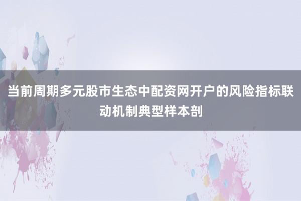 当前周期多元股市生态中配资网开户的风险指标联动机制典型样本剖