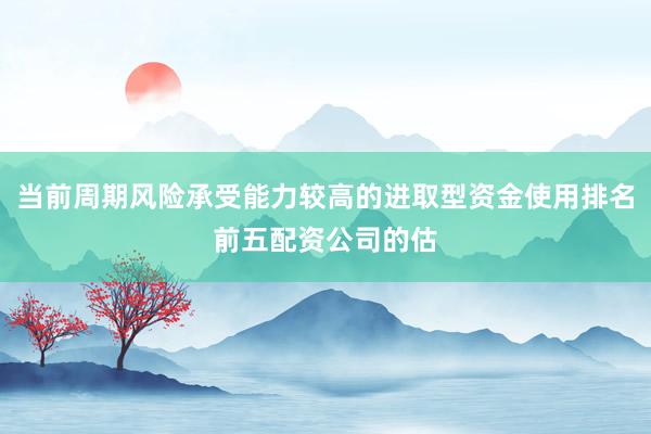 当前周期风险承受能力较高的进取型资金使用排名前五配资公司的估