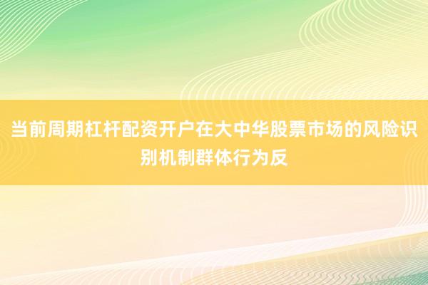 当前周期杠杆配资开户在大中华股票市场的风险识别机制群体行为反