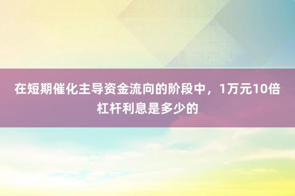 在短期催化主导资金流向的阶段中，1万元10倍杠杆利息是多少的