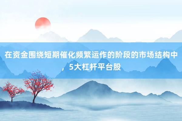 在资金围绕短期催化频繁运作的阶段的市场结构中，5大杠杆平台股
