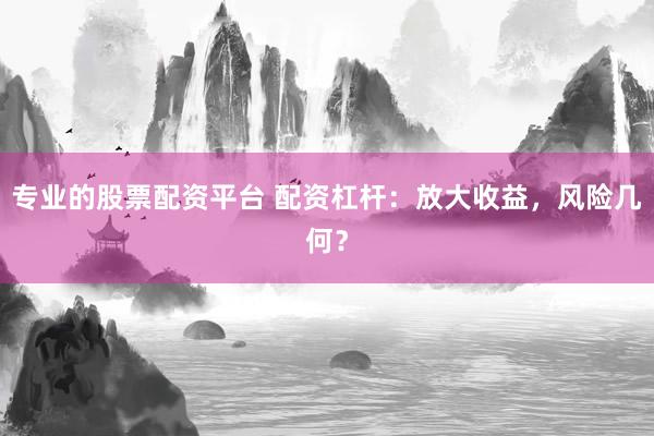 专业的股票配资平台 配资杠杆：放大收益，风险几何？
