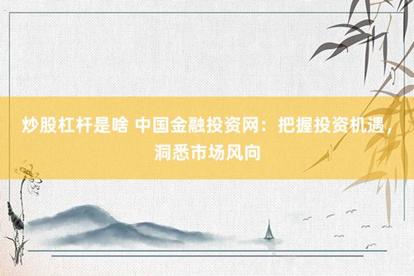 炒股杠杆是啥 中国金融投资网：把握投资机遇，洞悉市场风向