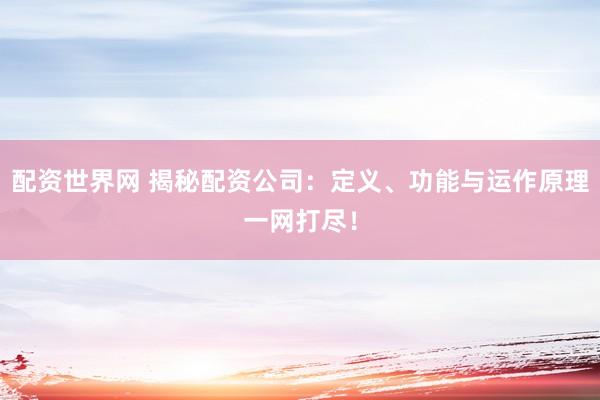 配资世界网 揭秘配资公司:定义、功能与运作原理一网打尽!